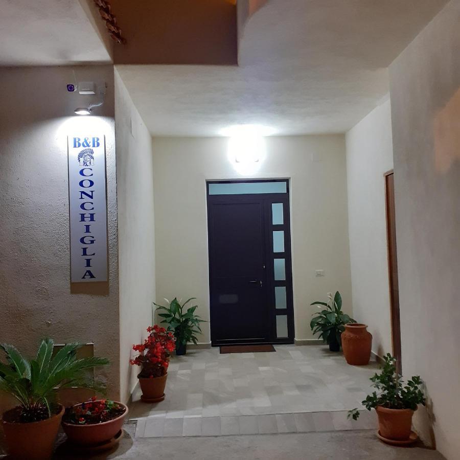 La Conchiglia Bed And Breakfast San Nicola Arcella Luaran gambar